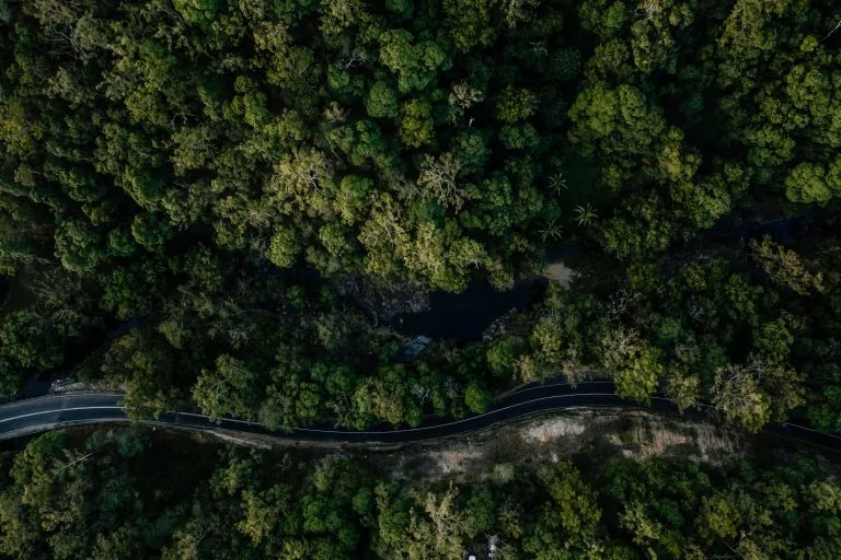 Aerial of a road weaving between trees at Cedar Creek, North Brisbane